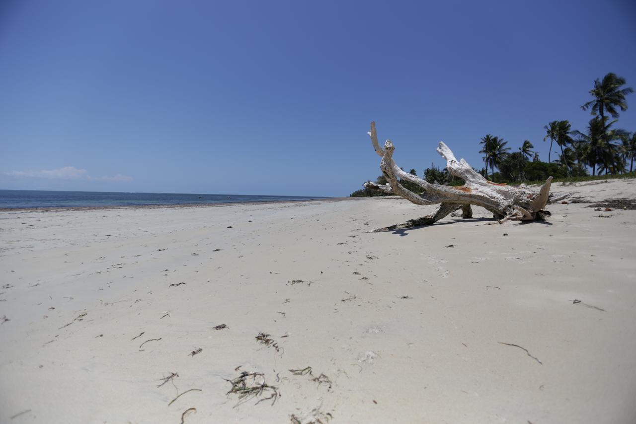 The Beach Crab Resort Pangani 외부 사진